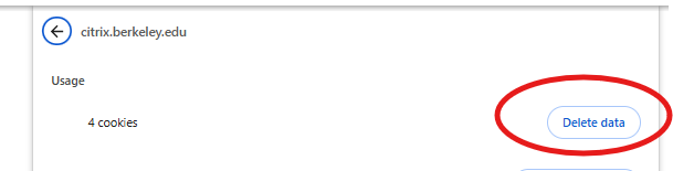 picture showing "delete data" button across from cookie count.