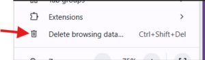 picture of Delete Browsing Data menu option