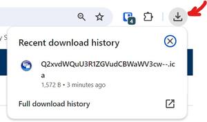 Citrix Download window